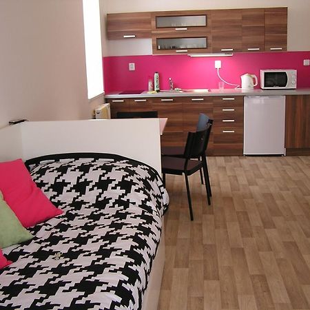 Apartment Třeboň Oda fotoğraf