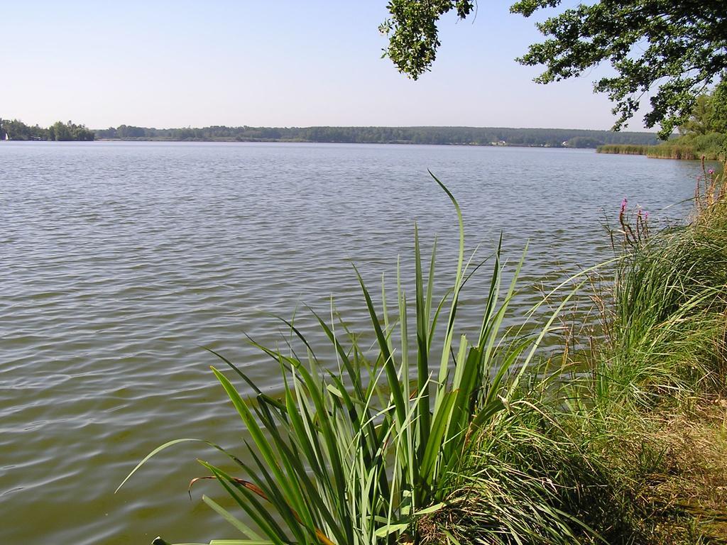 Apartment Třeboň Oda fotoğraf