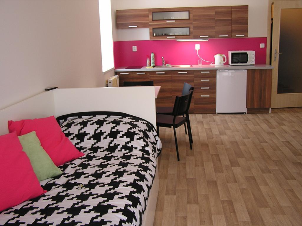 Apartment Třeboň Oda fotoğraf